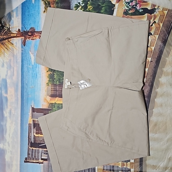 Eileen Fisher Tan Wide‎ Leg Cropped Pants Size 14 Nwot - Picture 2 of 7